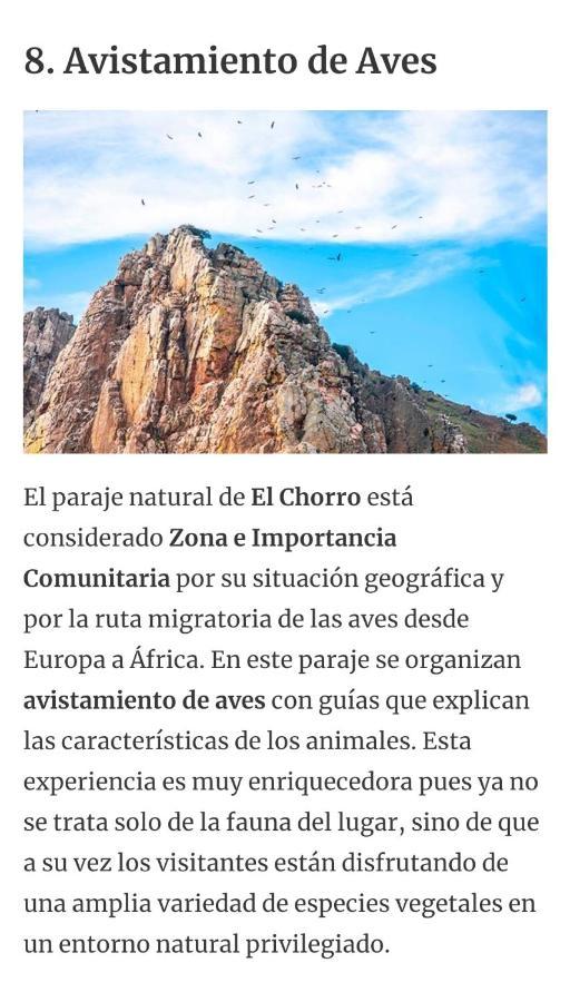 Alojamiento Alora Castillo Arabe Y Museo מראה חיצוני תמונה